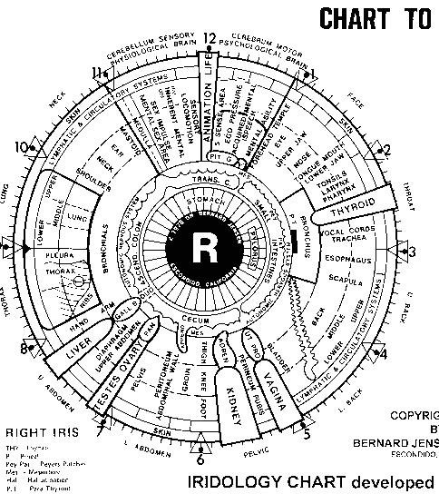 Detailed right eye iridology map showing body system zones