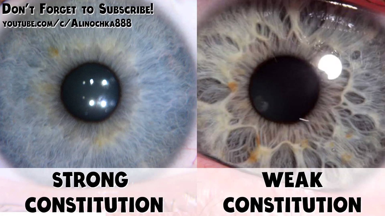 3D iris rendering showing texture and depth analysis features