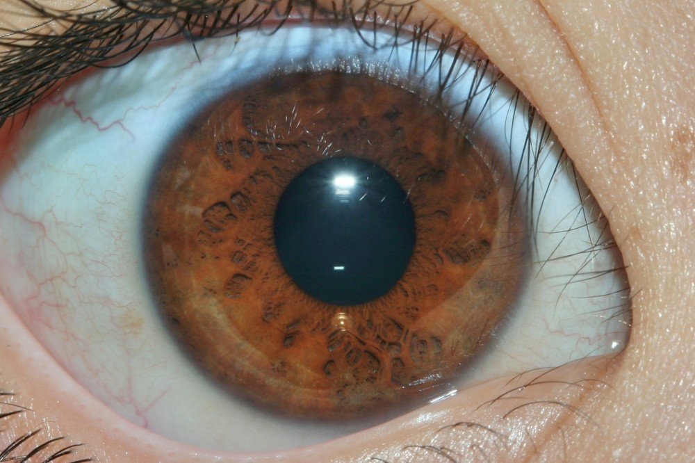 Close-up of human iris showing detailed structures and patterns for iridology study