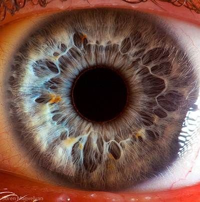 detailed iris close-up showing intricate patterns and textures