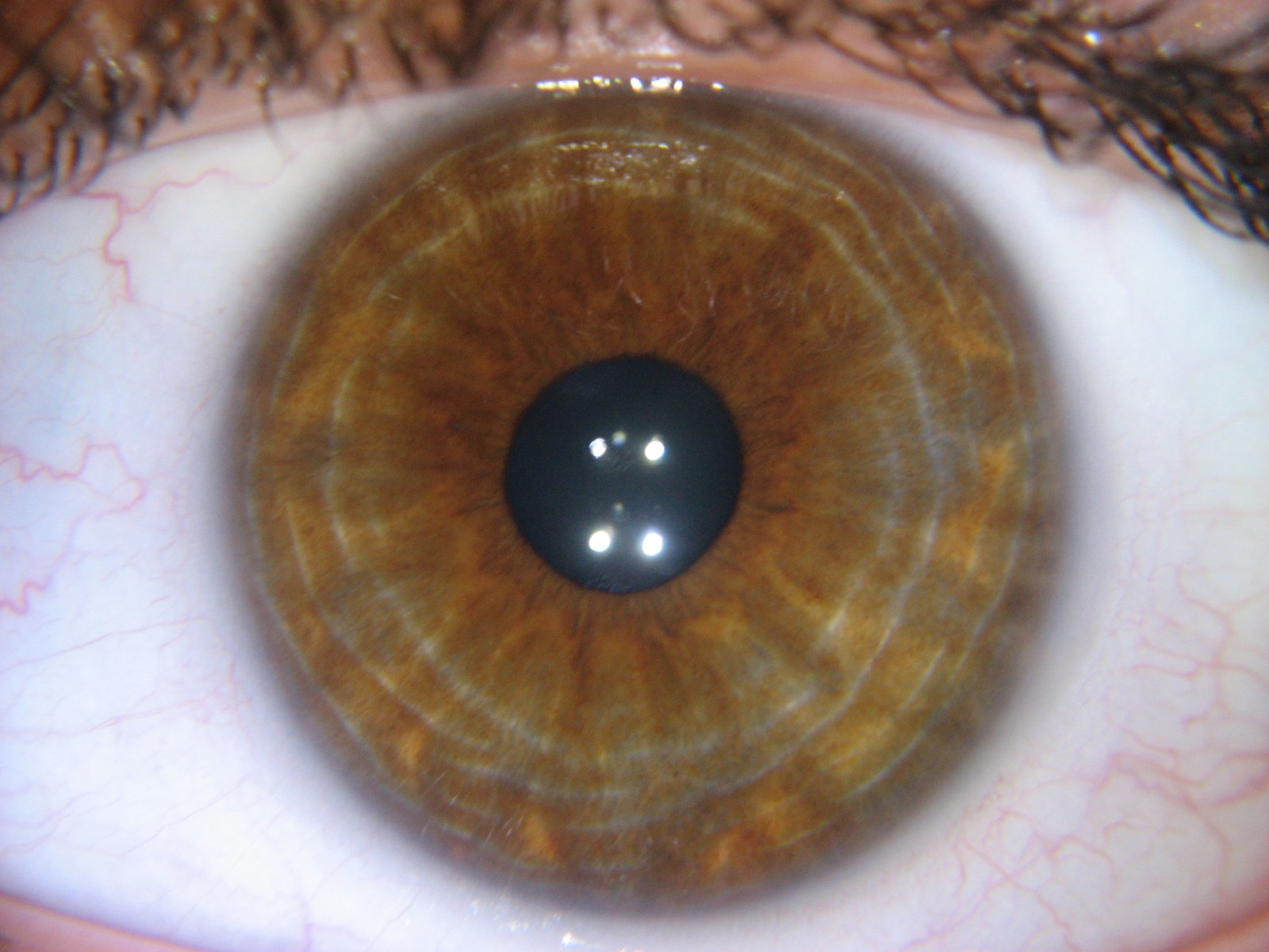 High-resolution iris image captured by professional camera