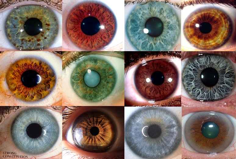Close-up of human iris showing detailed patterns and markings