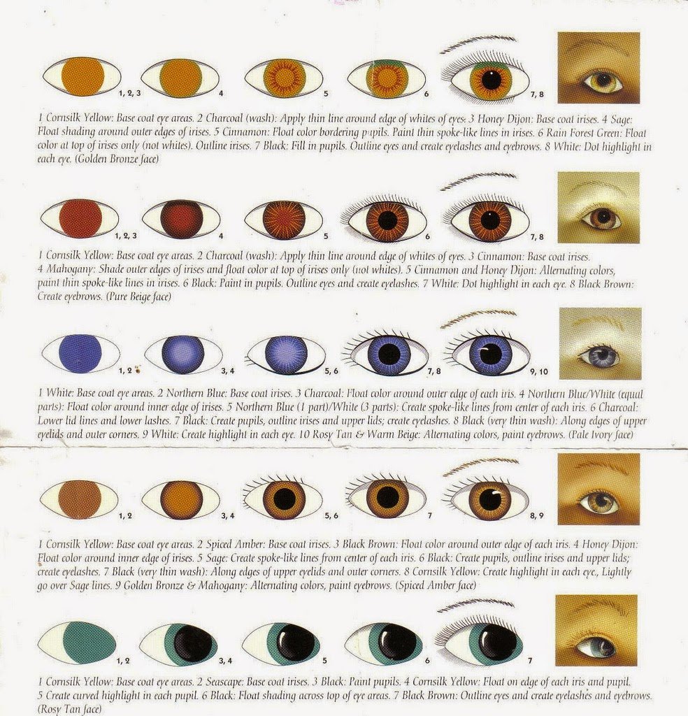 Digital portfolio of organized iridology case study images with annotations