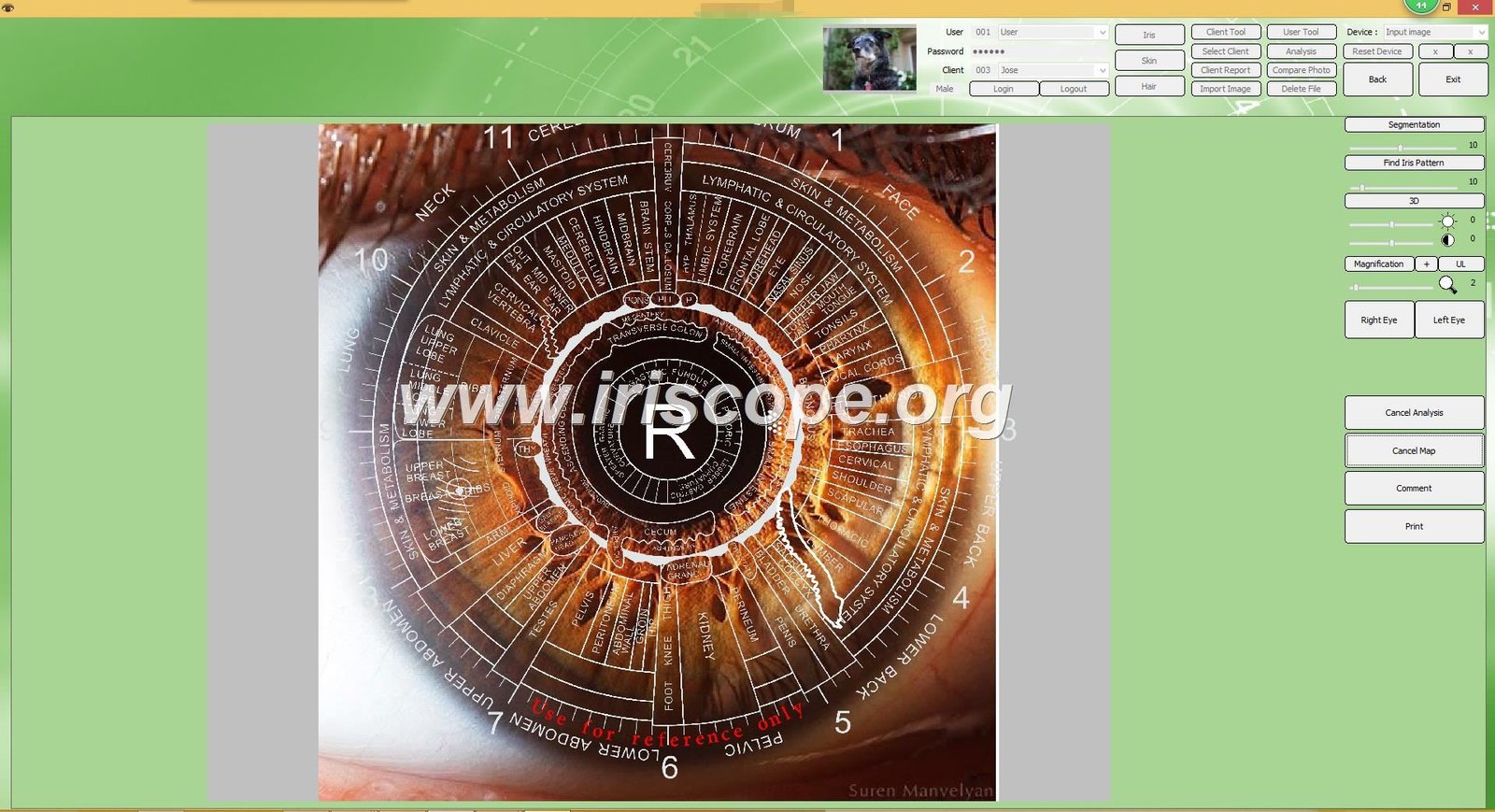 Custom software interface with private label branding