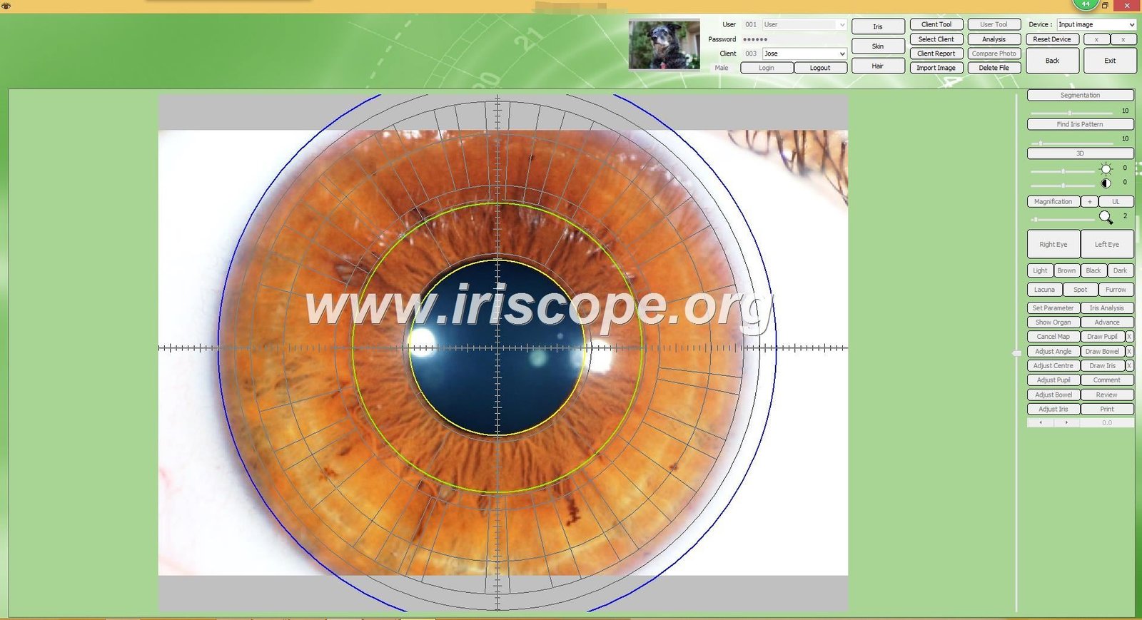 Custom software interface with private label branding