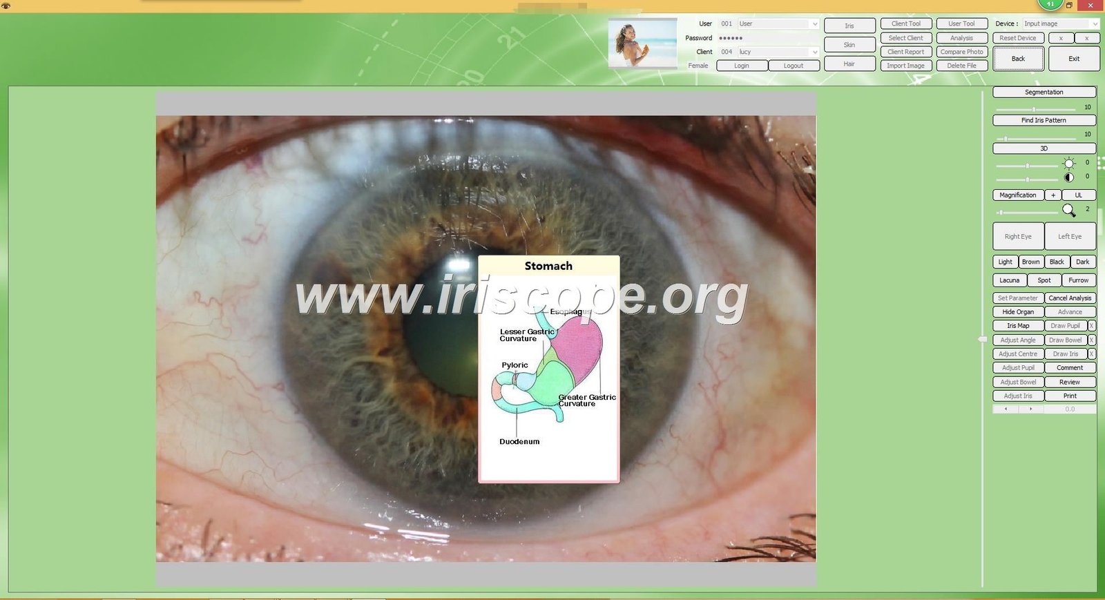 iridology software client management dashboard
