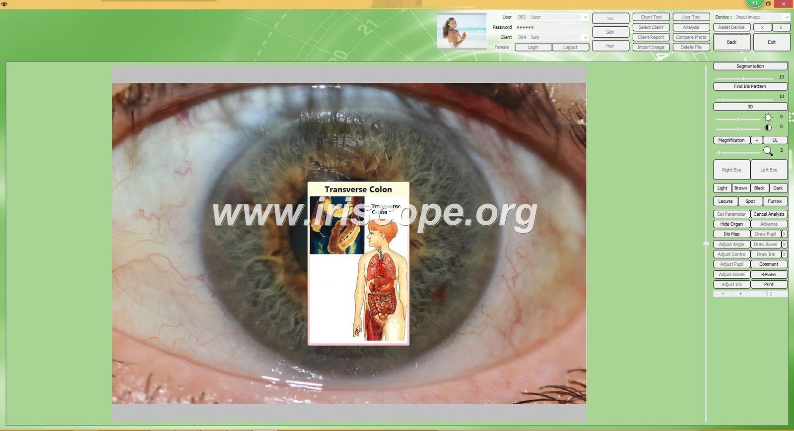 iridology software client management dashboard