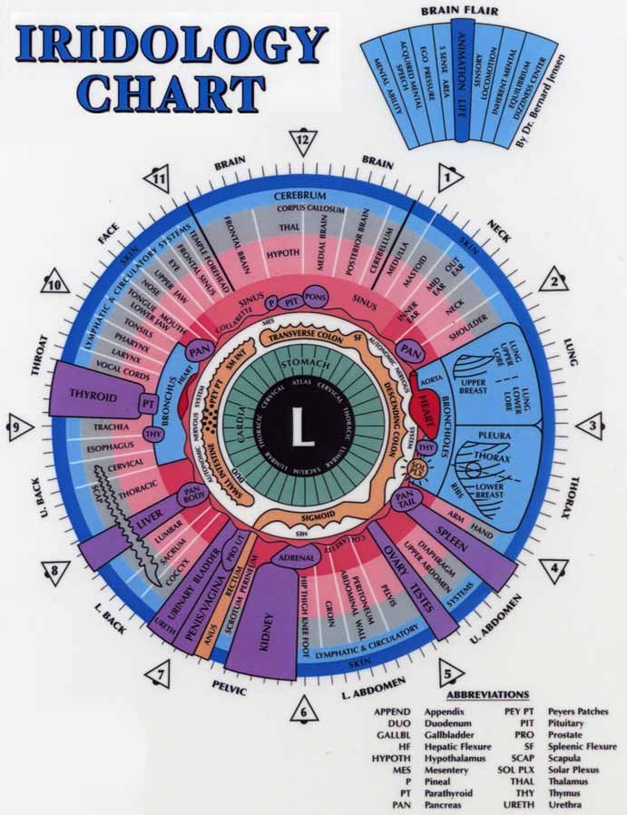 iridology eye chart diagnosis left