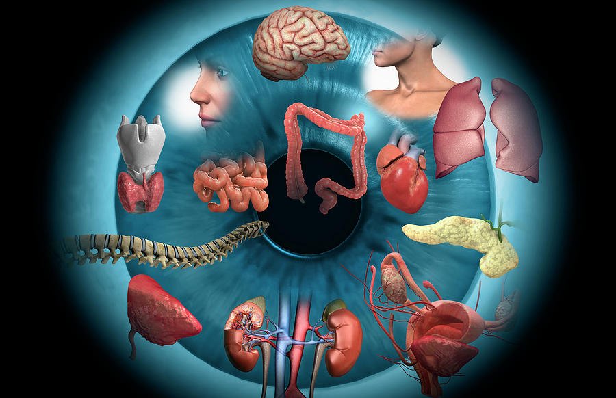 professional natural health clinic with iridology equipment setup