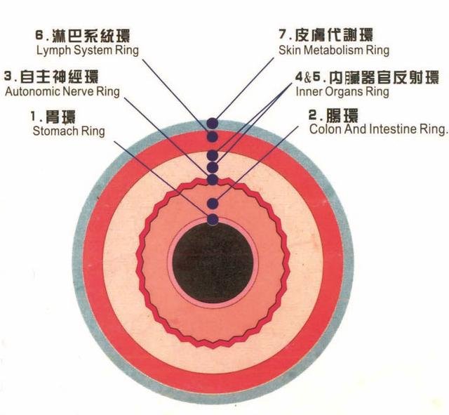 Detailed iridology pancreas chart showing left and right eye zone mapping with color-coded regions