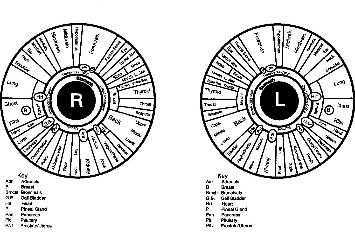 close-up of iris analysis with digital chart overlay showing specific zones