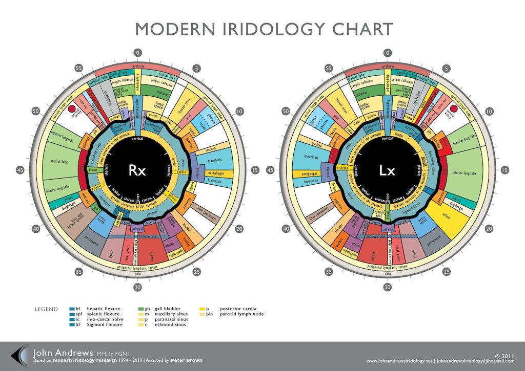 gary richer iridology chart zones showing left and right eye organ correspondences
