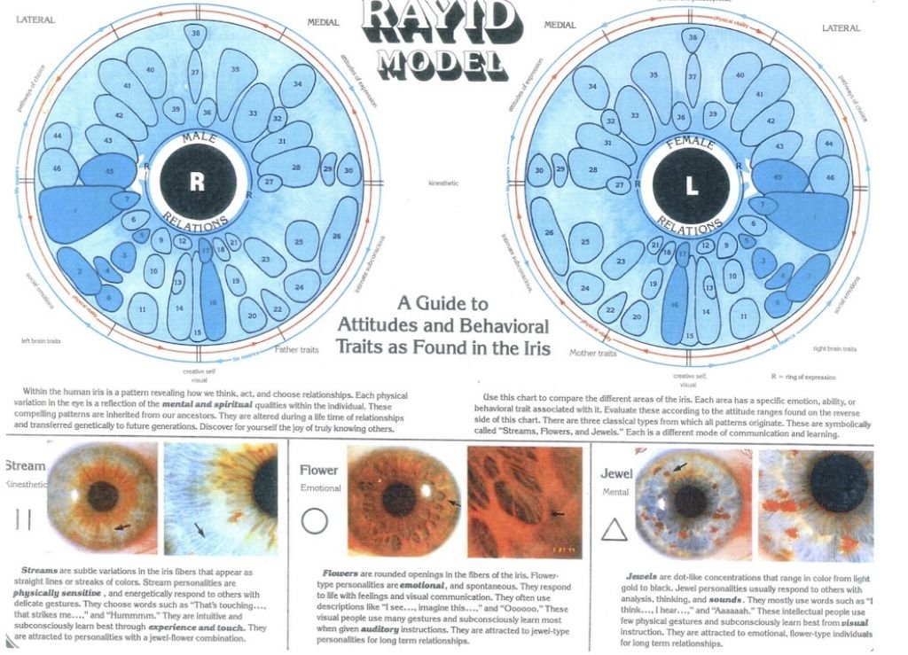 dr pesek iridology chart showing complete iris zone mapping for both eyes