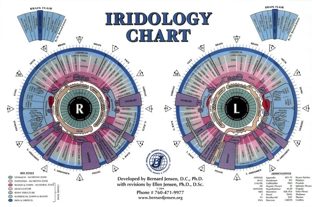 Detailed iridology chart showing complete iris zone mapping