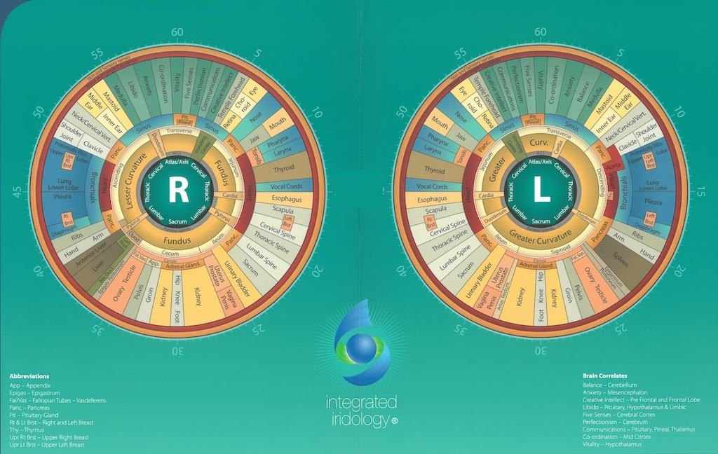 Complete iridology skin chart showing iris zones and body organ correlations