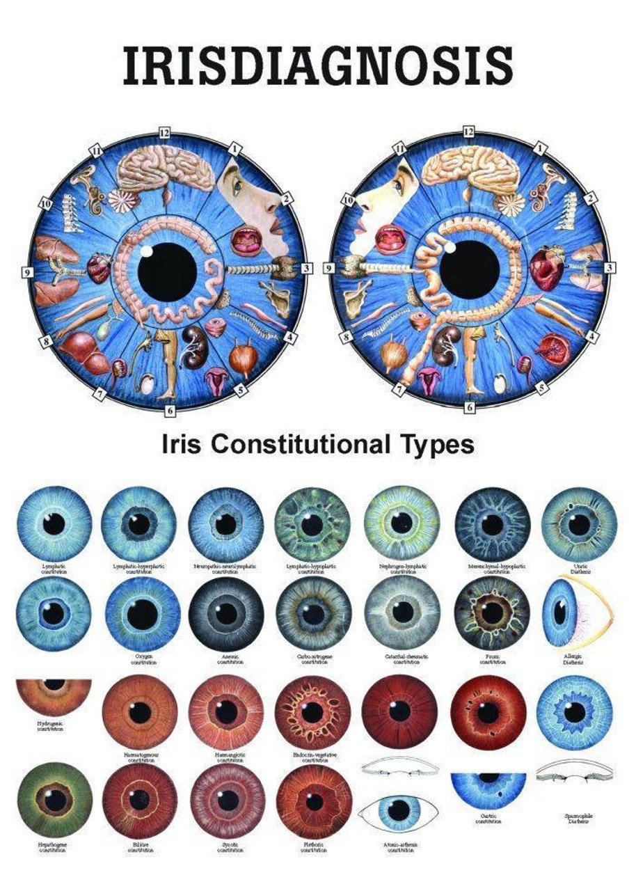 Detailed iridology pancreas chart showing left and right eye zone mapping with color-coded regions