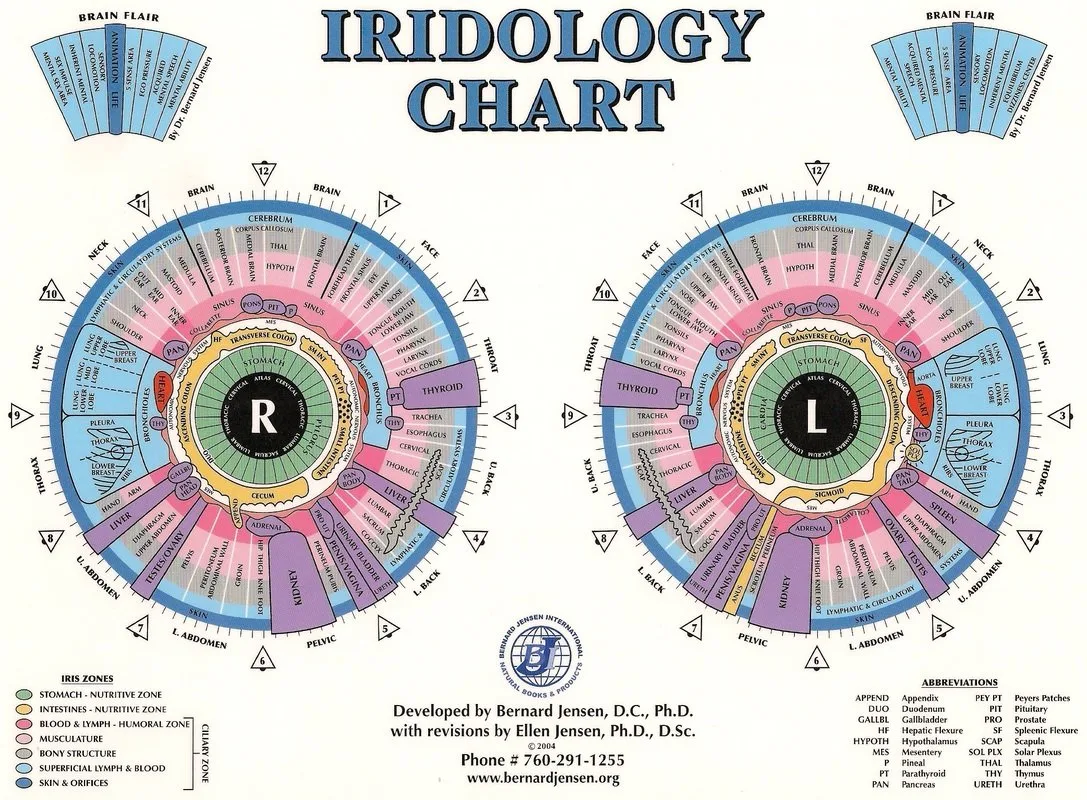 Bernard Jensen iris chart: what it is and when Canadian health product companies should include it — jensen iridology chart (1).jpg