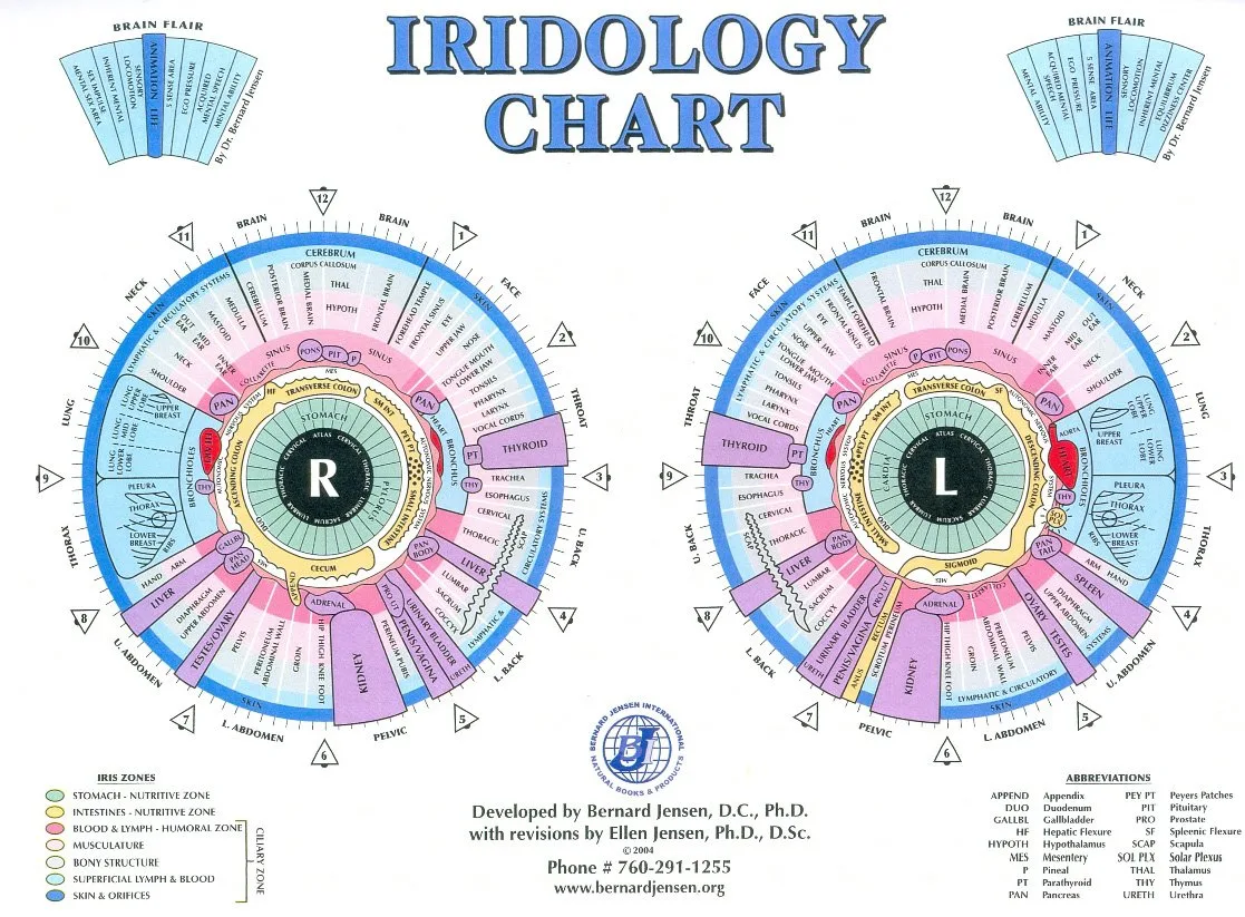 What buyers and practitioners should know when searching for iridology examples in Canada — Iridology Chart Left Eye (4).jpg