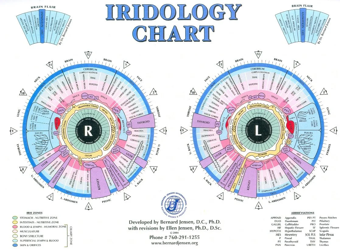 How to Read an Iridology Chart: Practical Steps for Canadian Wellness Centres 10 How to Read an Iridology Chart: Practical Steps for Canadian Wellness Centres — Iridology Chart Left Eye (4).jpg
