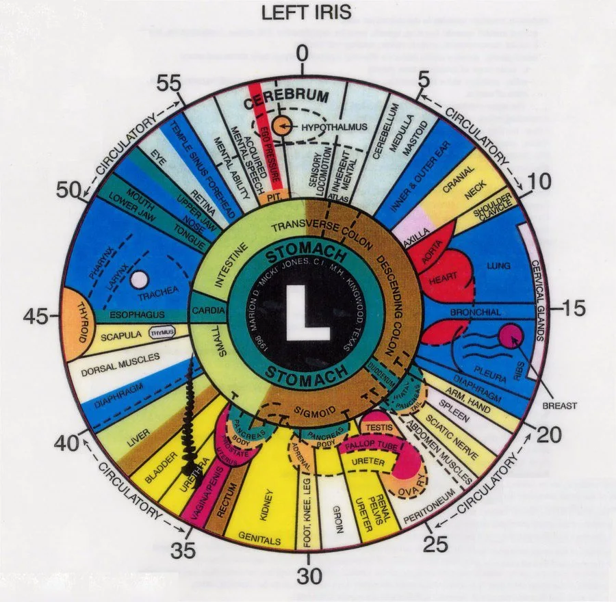 Practical guide to the left‑eye iridology map for naturopathic clinics in Canada — Iridology chart Left eye  (1).jpg