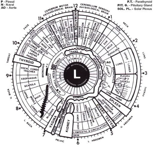 Practical guide to the left‑eye iridology map for naturopathic clinics in Canada — Iridology chart Left eye  (9).jpg