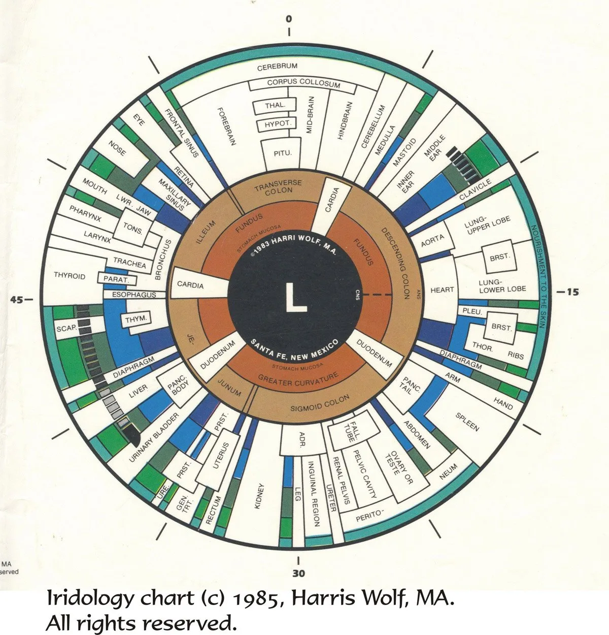Practical guide to the left‑eye iridology map for naturopathic clinics in Canada — Iridology chart Left eye  (4).jpg