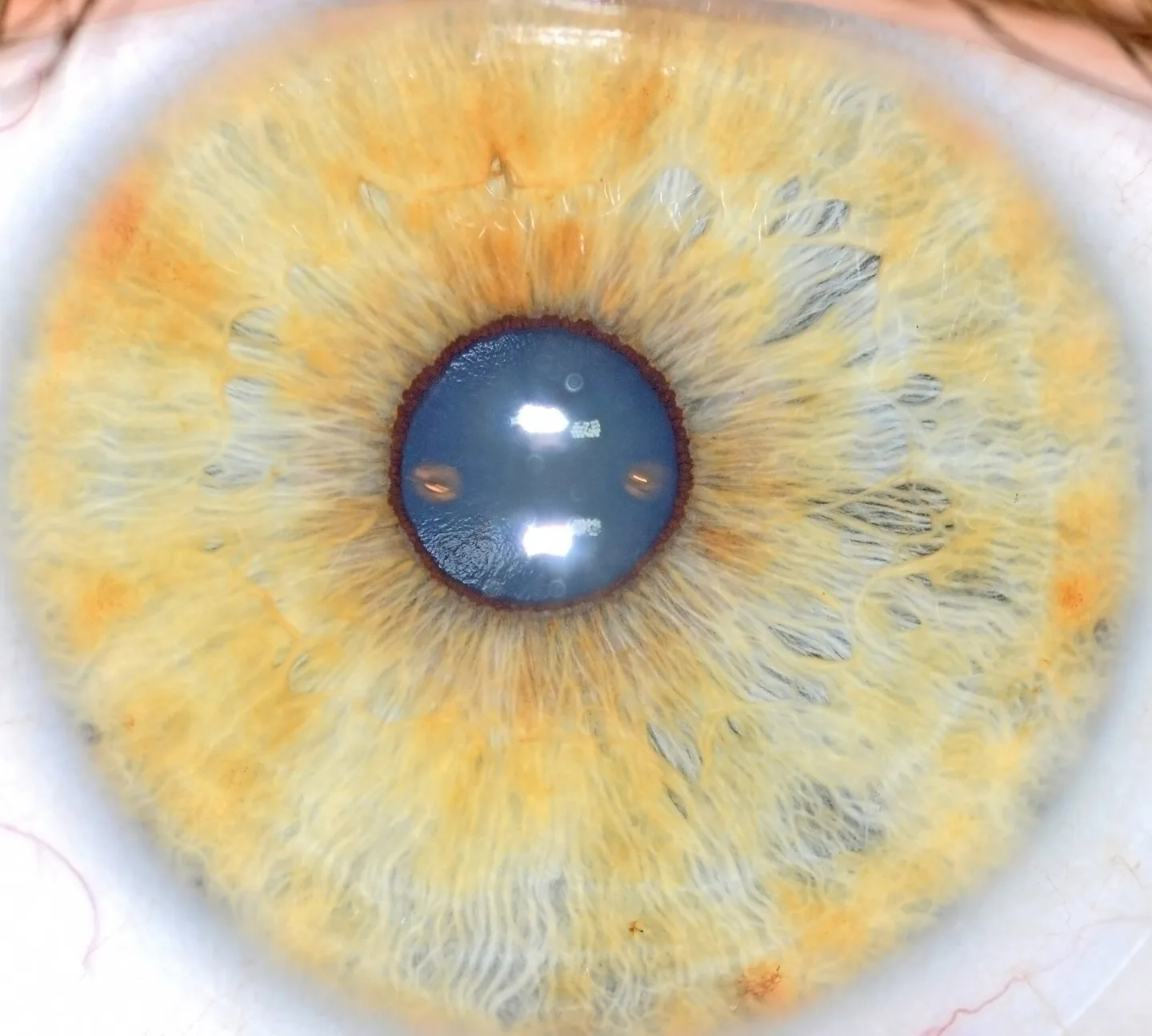 High‑end iris cameras for Canadian training institutions: who counts as a premium brand and what to check first — 002 (2).jpg