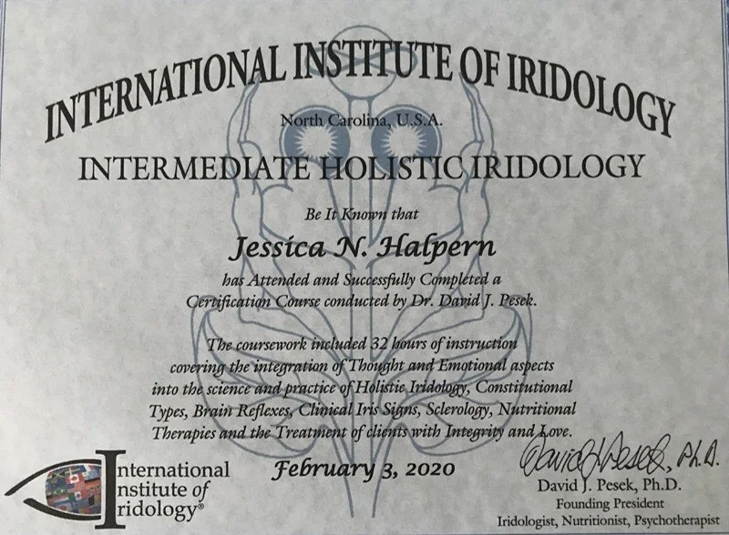 Certified Iridologist: What Canadian Supplement Distributors Need to Know — Iridologist (2).jpg
